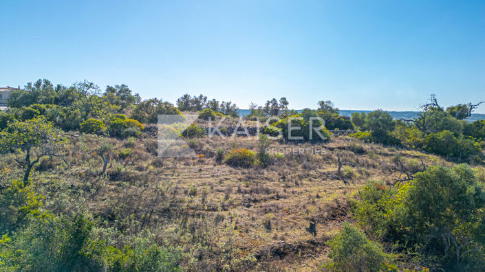 Image No.13-Plot for sale