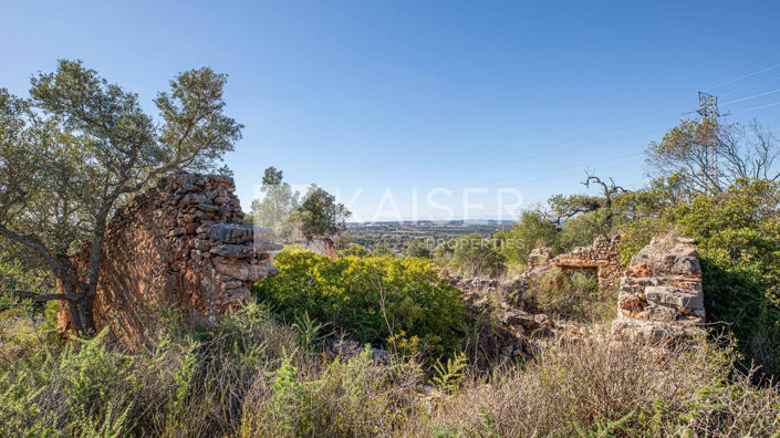 Image No.2-Plot for sale