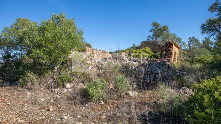 Image No.6-Plot for sale