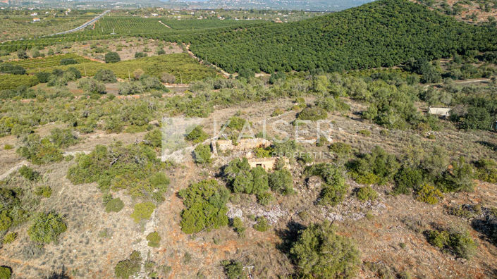 Image No.8-Plot for sale