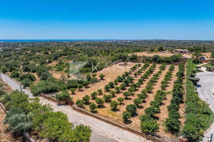 Image No.5-Land for sale