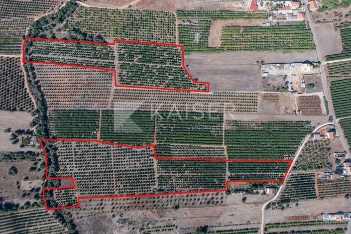 Image No.4-Terreno en venta