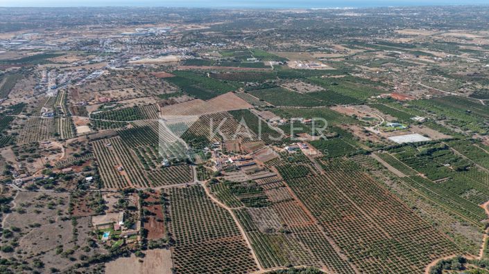 Image No.5-Terreno en venta