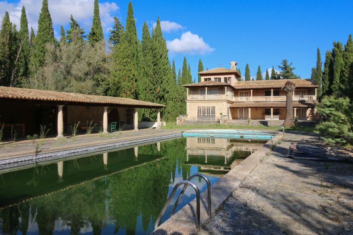 Image No.19-5 Bed Finca for sale