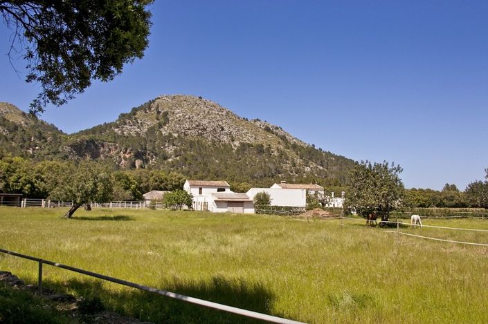 Image No.15-3 Bed Finca for sale