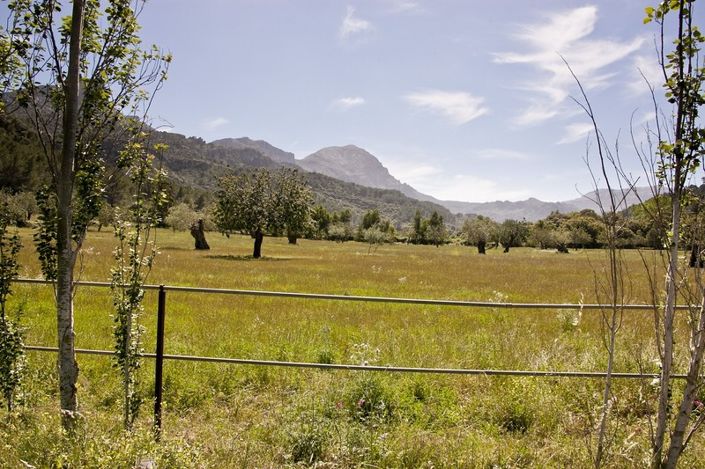 Image No.17-3 Bed Finca for sale