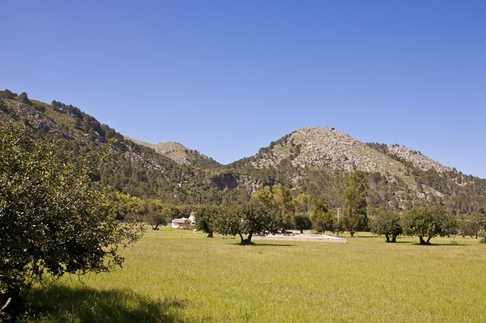 Image No.18-3 Bed Finca for sale