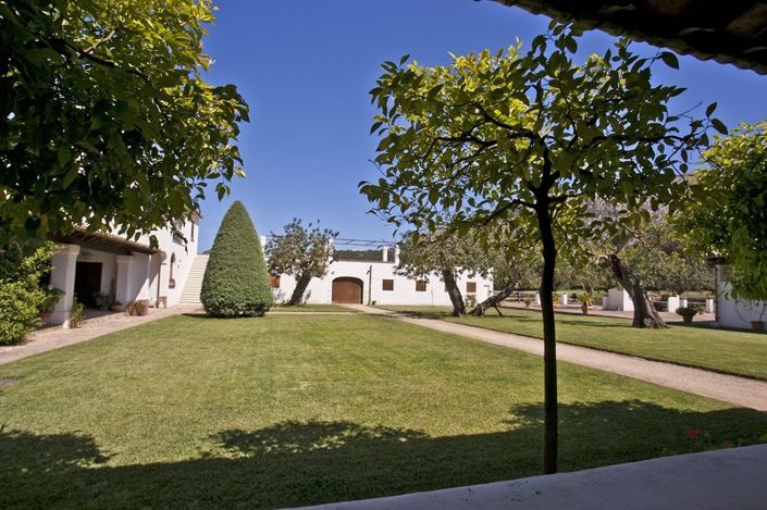 Image No.6-3 Bed Finca for sale