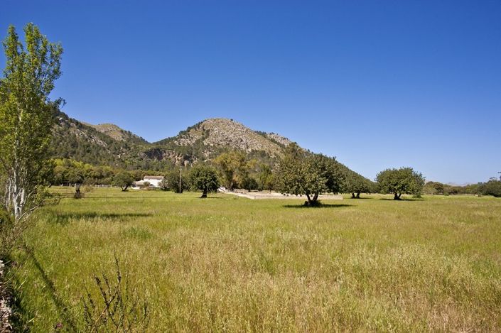 Image No.8-3 Bed Finca for sale