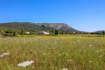 Sol Mallorca most sold property