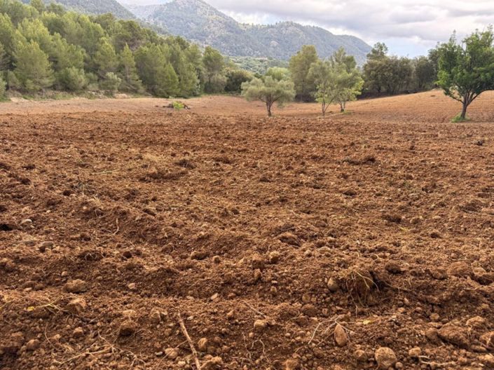 Image No.2-Terrain à vendre à Selva