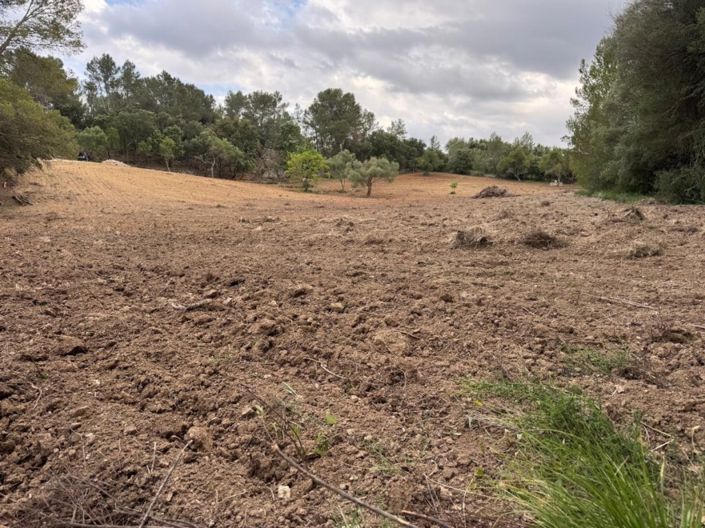 Image No.3-Terrain à vendre à Selva