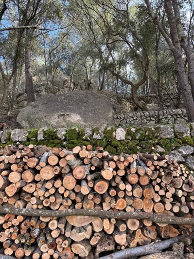 Image No.4-Terrain à vendre à Selva