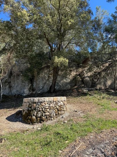 Image No.5-Terrain à vendre à Selva