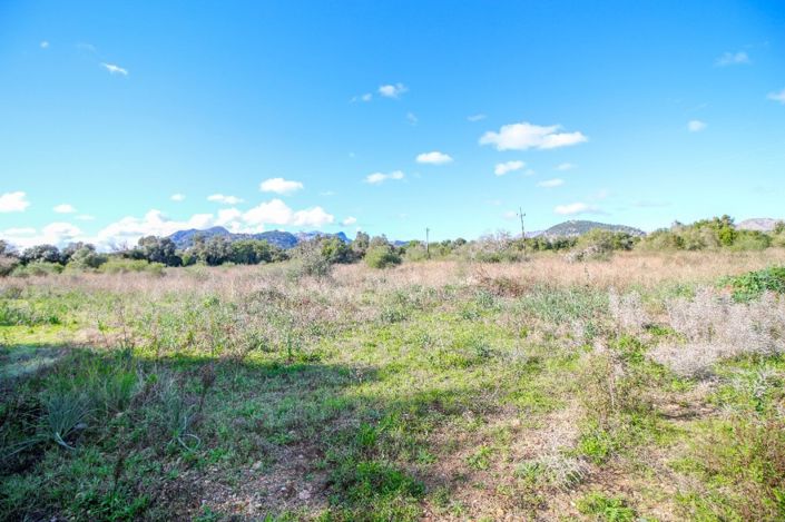 Image No.2-Terrain à vendre à Pollenca