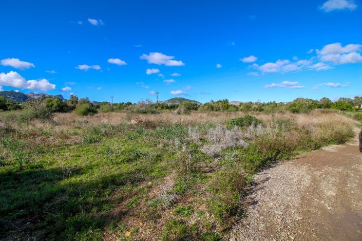 Image No.3-Terrain à vendre à Pollenca