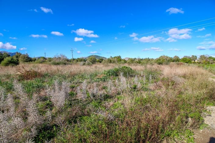 Image No.4-Terrain à vendre à Pollenca