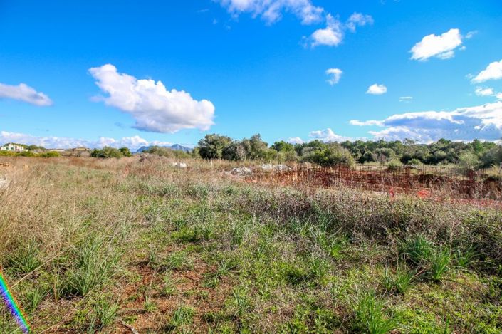 Image No.5-Terrain à vendre à Pollenca