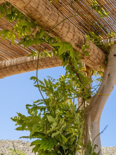 Image No.6-Finca de 5 chambres à vendre à Pollenca