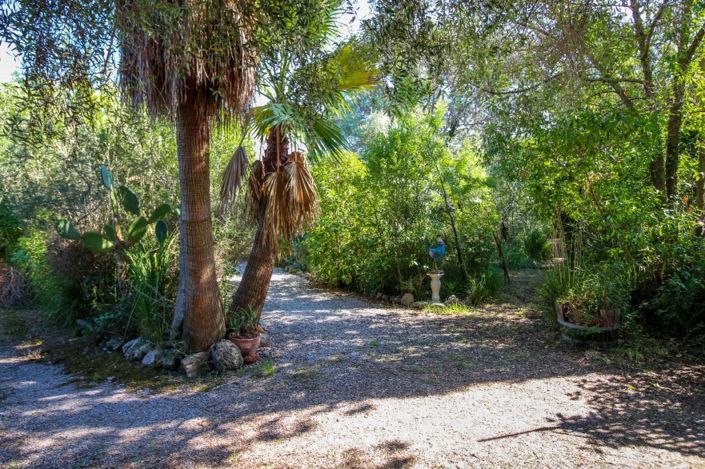 Image No.3-Propriété de 3 chambres à vendre à Pollenca