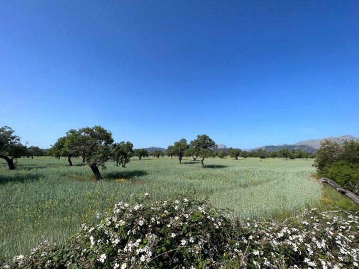 Image No.2-Plot for sale