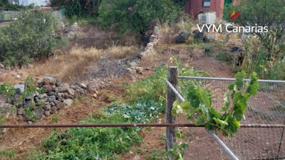 278563679