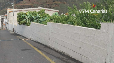 278563682