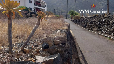 284735207