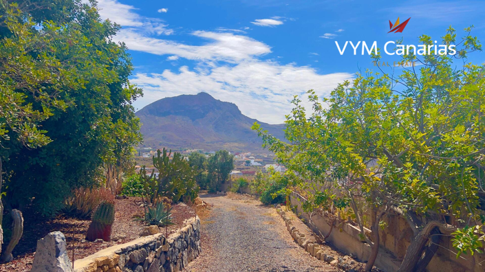 Image No.4-3 Bed Finca for sale