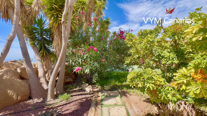 Image No.26-3 Bed Finca for sale