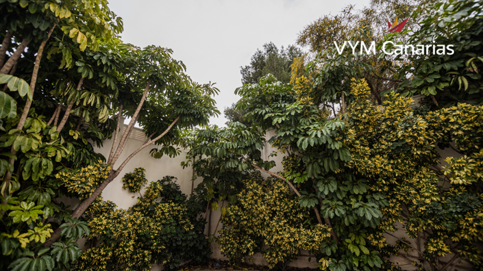 Image No.49-Villa de 5 chambres à vendre à Altea la Vella