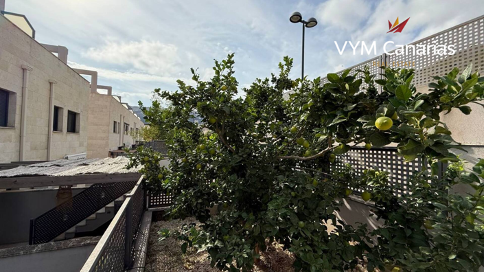 Image No.7-3 Bed Townhouse for sale