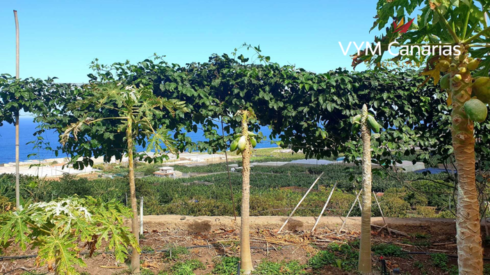 Image No.1-Land for sale