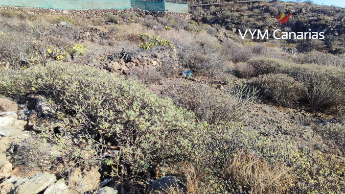 Image No.8-Land for sale