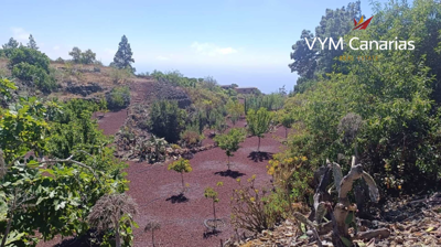 VYM Canarias most sold property