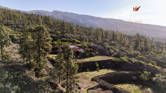 Image No.27-1 Bed Finca for sale