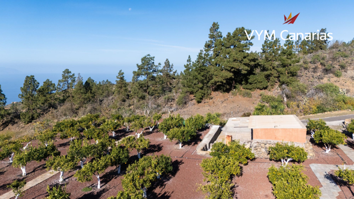 Image No.29-1 Bed Finca for sale