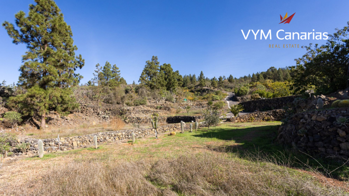 Image No.45-1 Bed Finca for sale