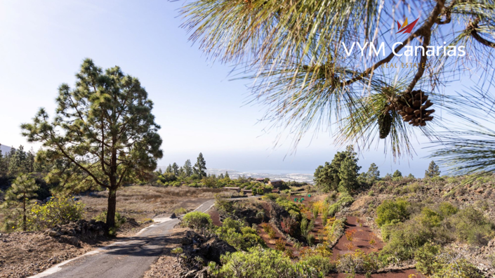 Image No.46-1 Bed Finca for sale