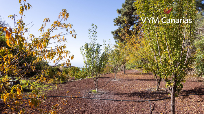 Image No.49-1 Bed Finca for sale