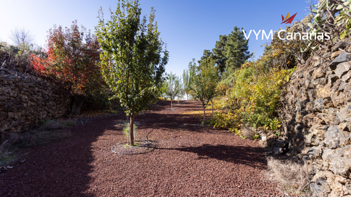 Image No.50-1 Bed Finca for sale