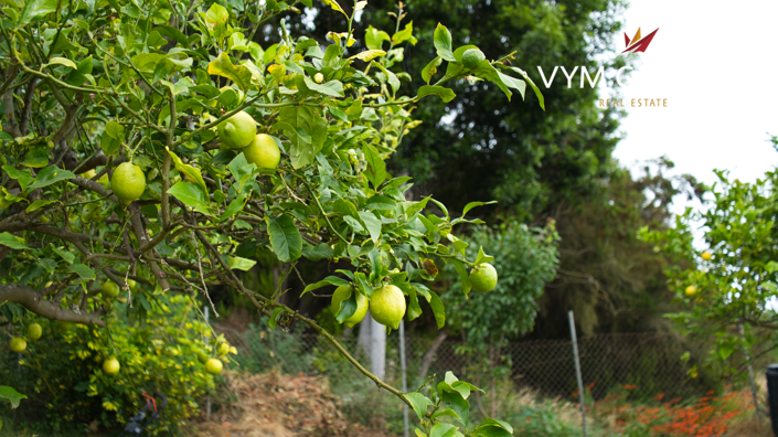 Image No.9-5 Bed Villa for sale