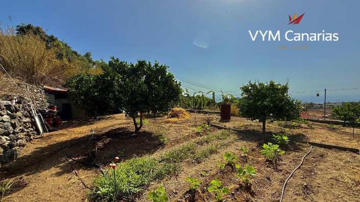 Image No.3-Finca de 3 chambres à vendre à Güímar