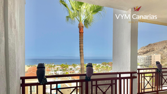 Image No.20-Penthouse de 2 chambres à vendre à Palm Mar