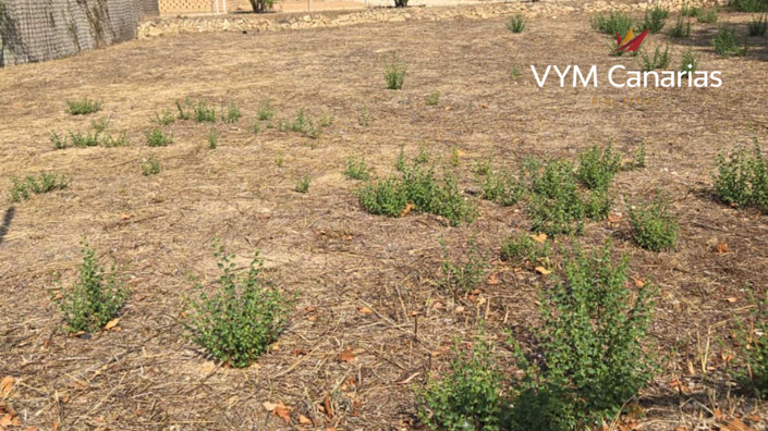 Image No.1-Land for sale