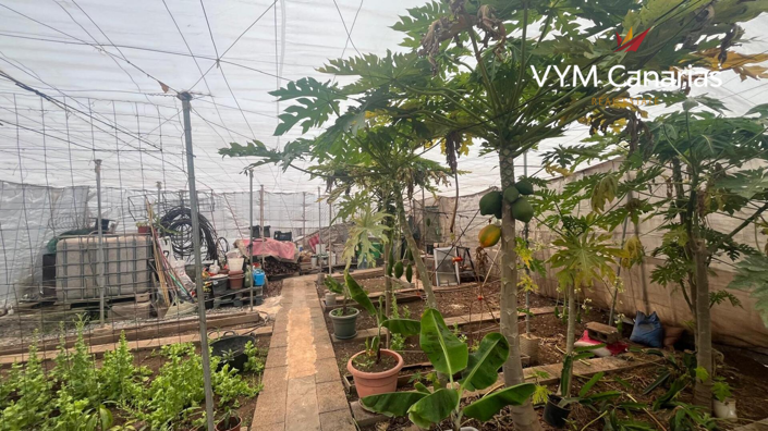 Image No.10-Finca de 7 chambres à vendre à Tenerife