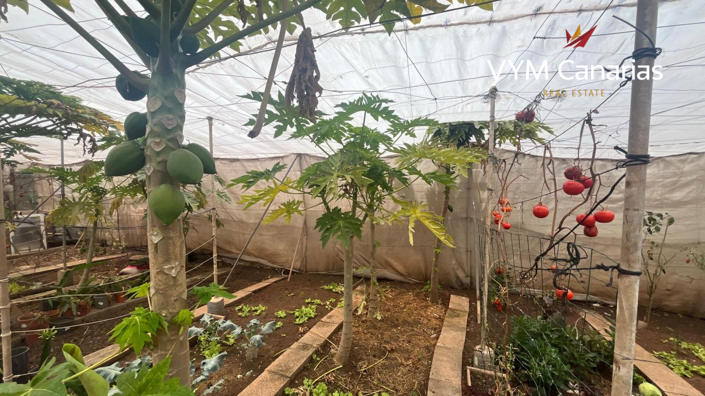 Image No.11-Finca de 7 chambres à vendre à Tenerife