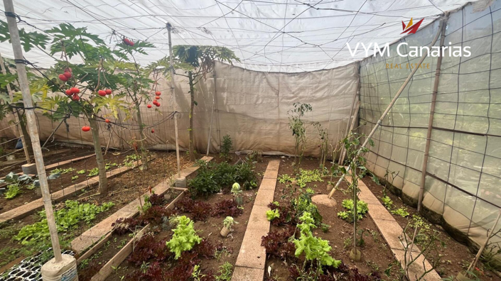 Image No.12-Finca de 7 chambres à vendre à Tenerife