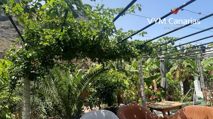 Image No.15-Finca de 7 chambres à vendre à Tenerife