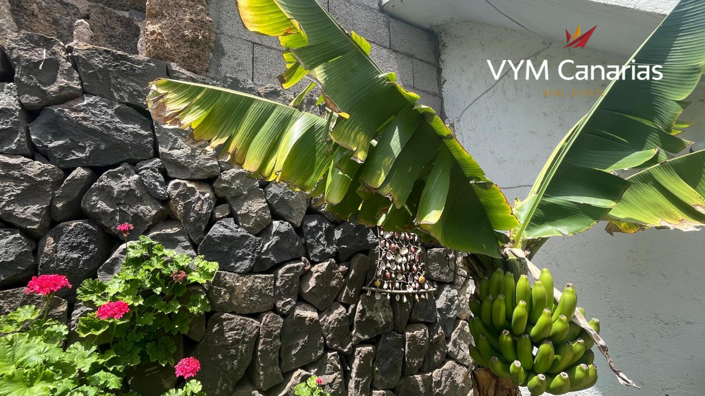 Image No.19-Finca de 7 chambres à vendre à Tenerife